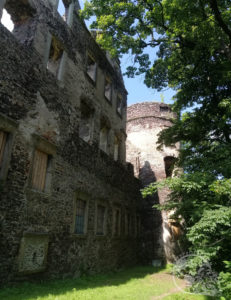 Ruiny zamku w Świnach