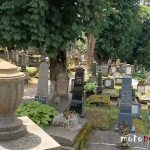 Sighisoara - cmentarz z grobami niemieckich mieszkańców, Rumunia